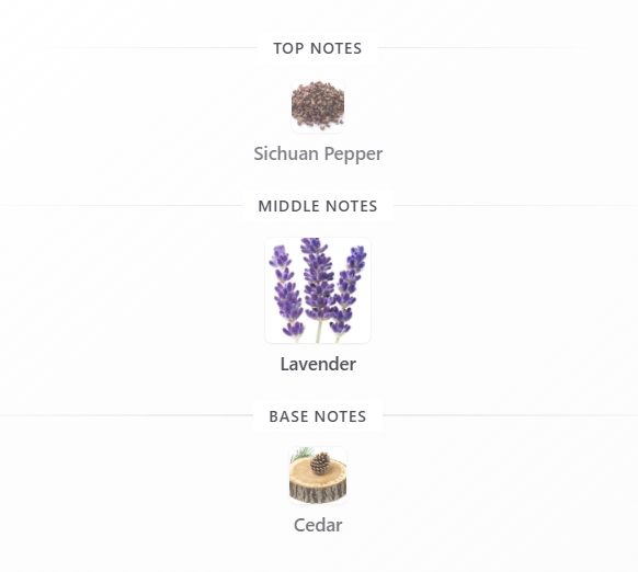 Solar Lavender by Issey Miyake